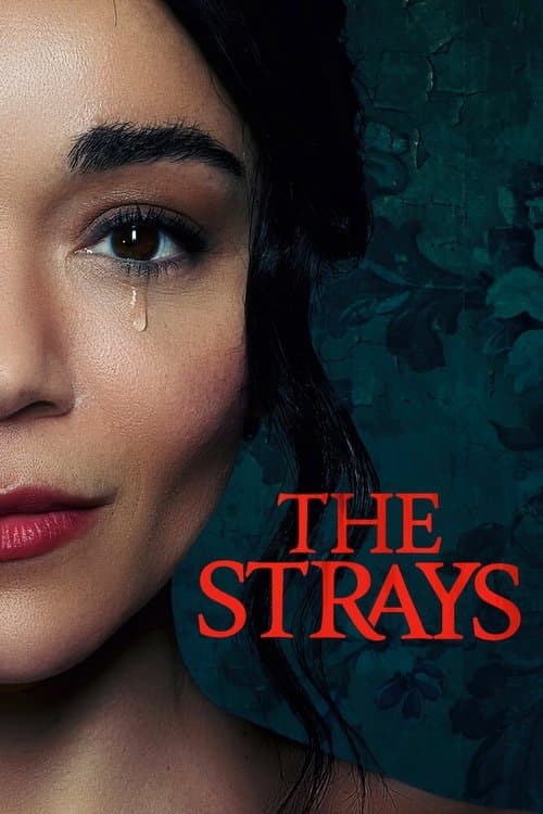 ดูหนังใหม่.The Strays (2023) คนหลงทาง