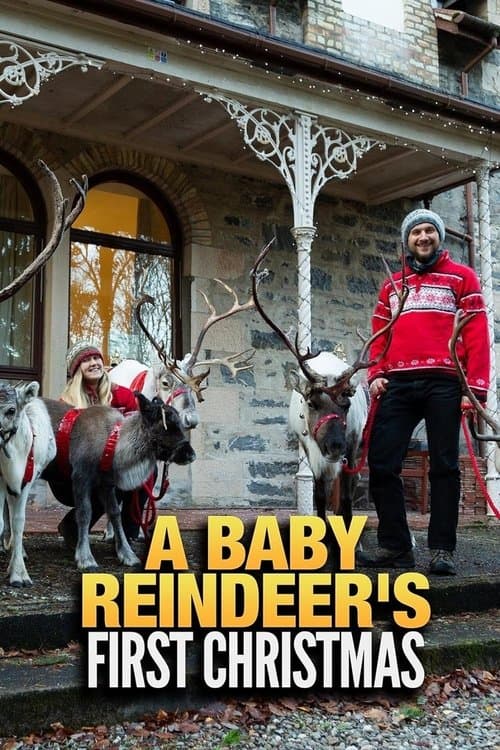 Baby Reindeer