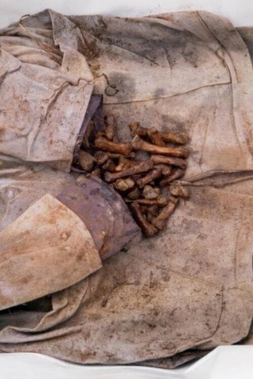 Exhuma (2024) ขุดมันขึ้นมาจากหลุม