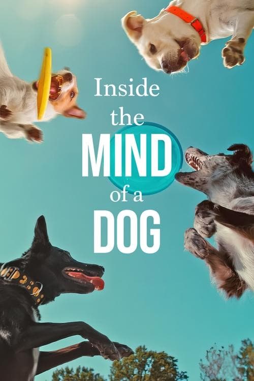 Inside the Mind of a Dog (2024) อ่านใจสุนัข