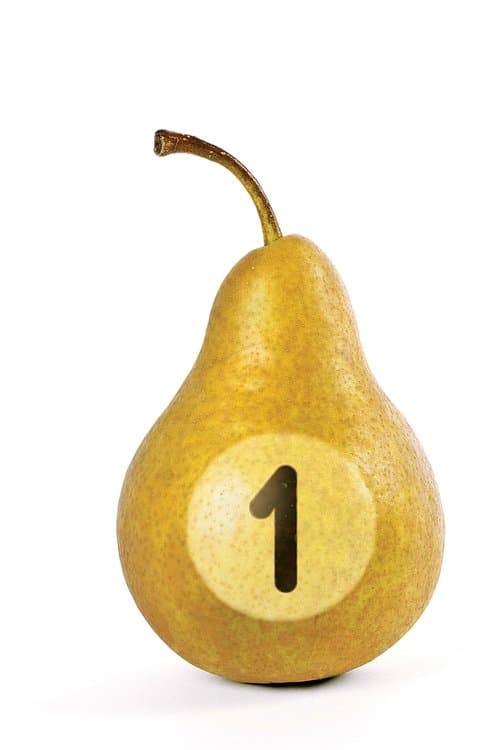 แหยมยโสธร 1