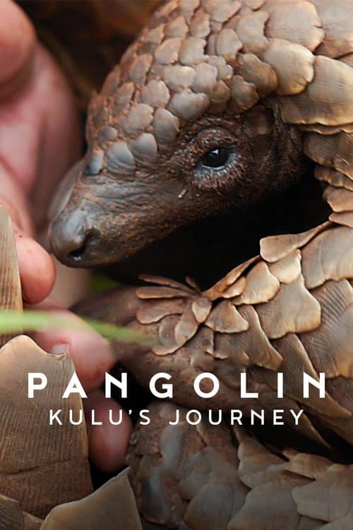 Pangolin: Kulu's Journey (2025) การเดินทางของคูลู