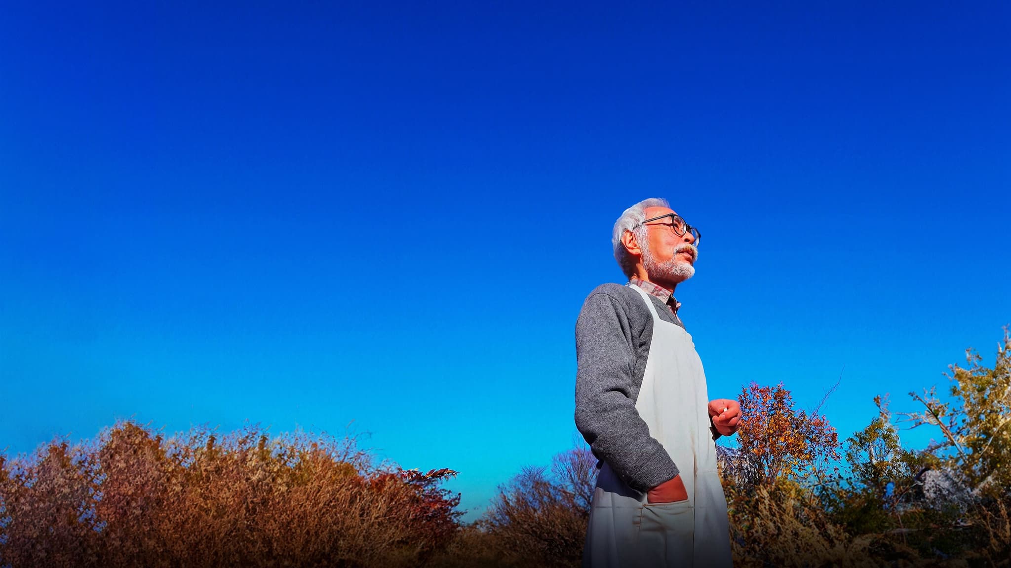 Hayao Miyazaki and the Heron (2024) ฮายาโอะ มิยาซากิกับนกกระสา